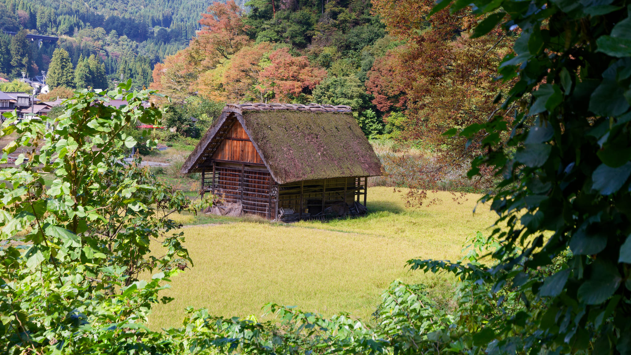 06-Shirakawa-go (3).jpg